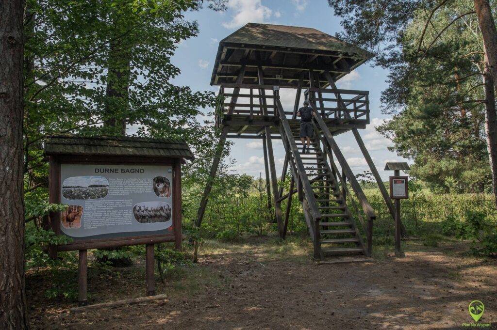 Poleski Park Narodowy