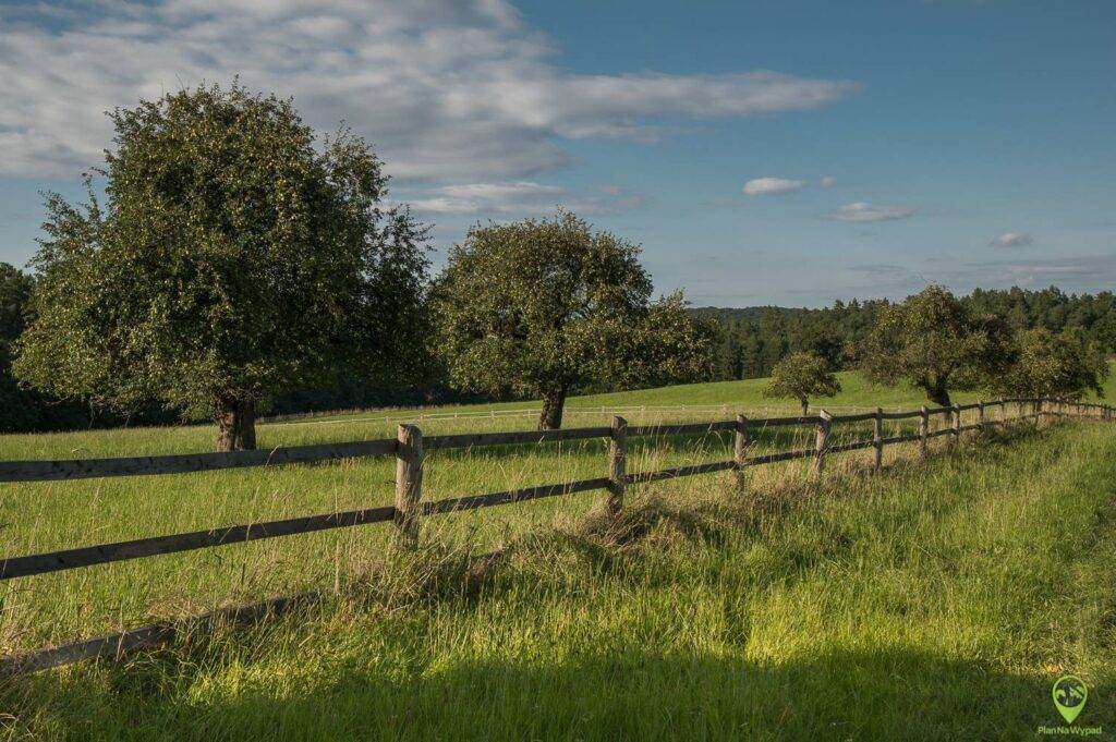 Roztoczański Park Narodowy