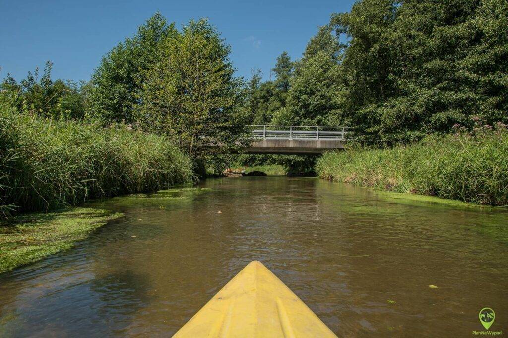 Spływ rzeką Wieprz