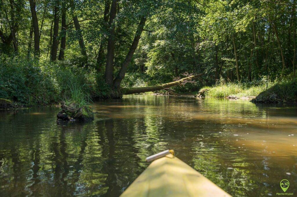 Spływ rzeką Wieprz
