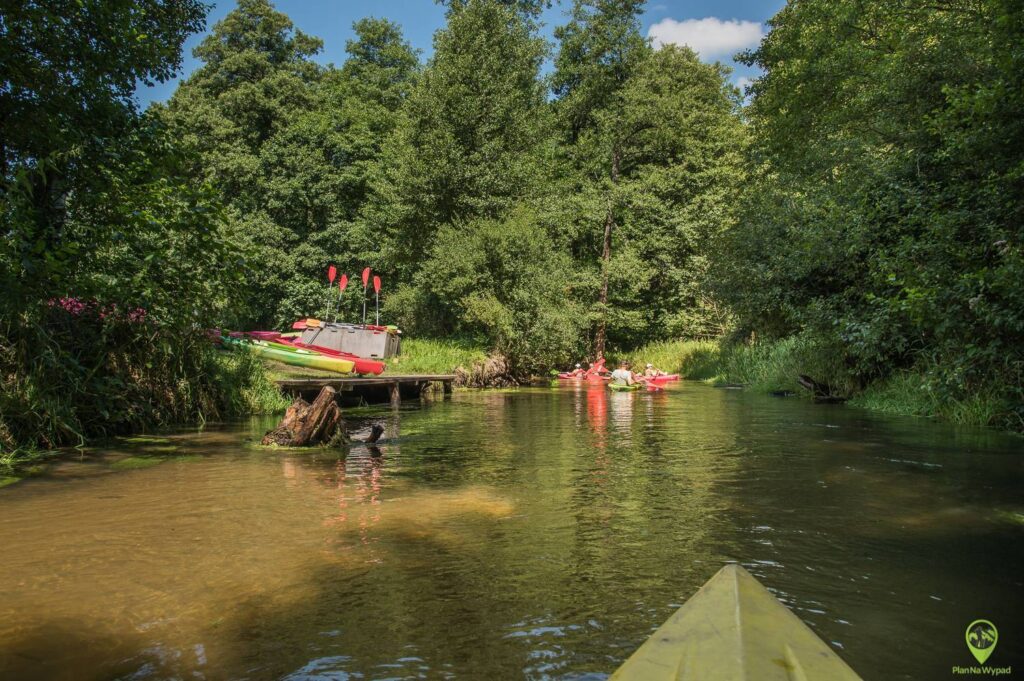 Spływ rzeką Wieprz
