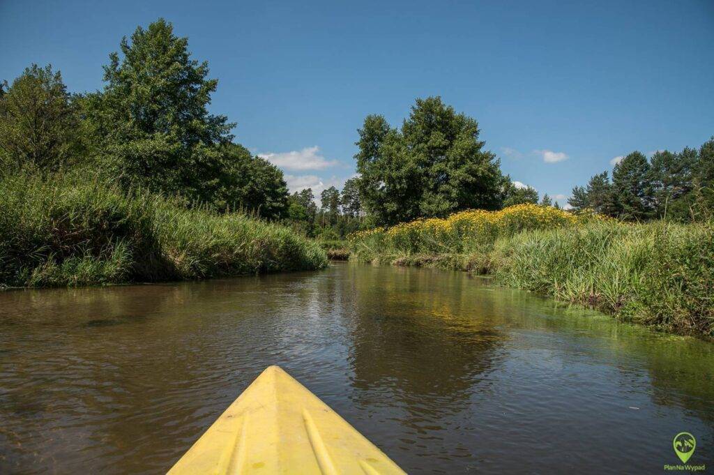 Spływ rzeką Wieprz