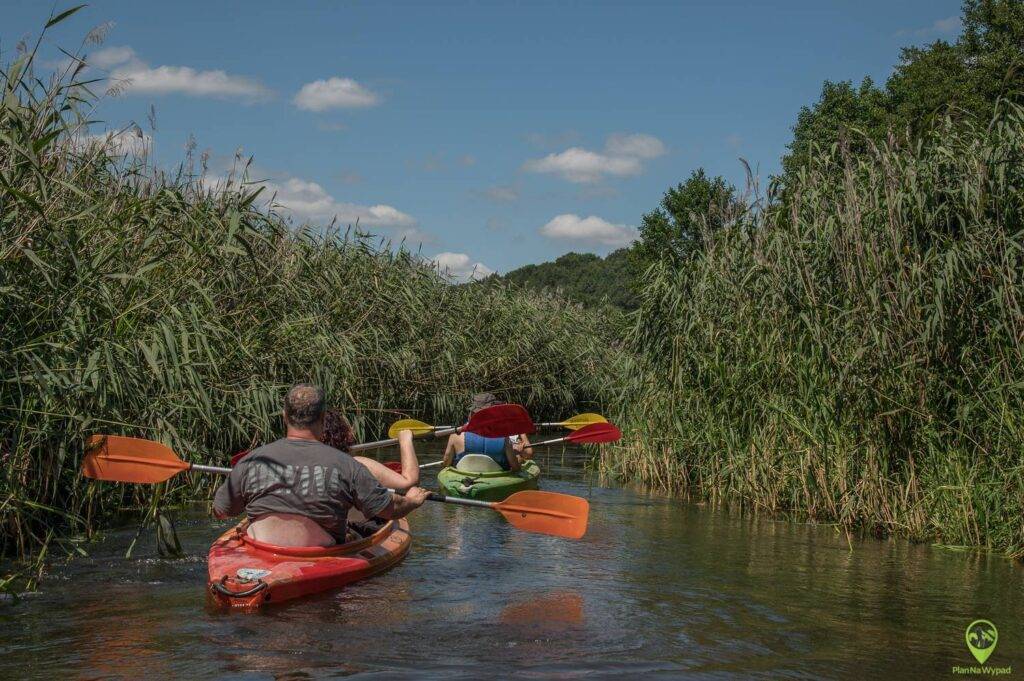 Spływ rzeką Wieprz