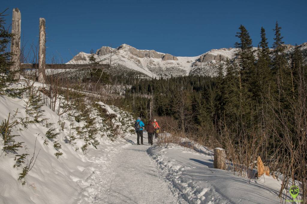 Szlak na Zielony Staw Kieżmarski
