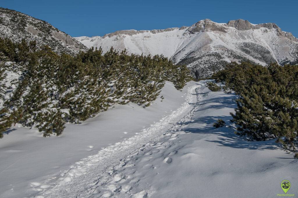 Szlak na Zielony Staw Kieżmarski