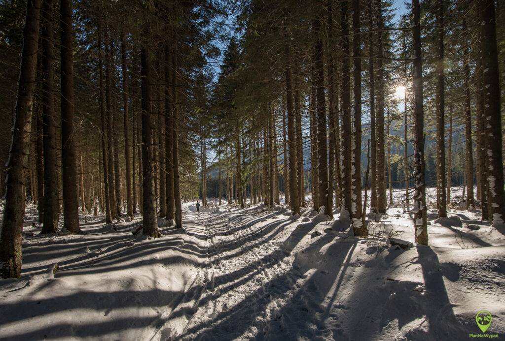 Szlak na Zielony Staw Kieżmarski