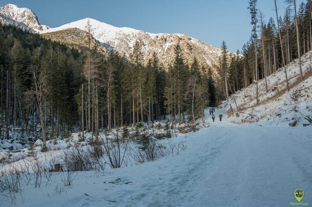 Szlak na Zielony Staw Kieżmarski