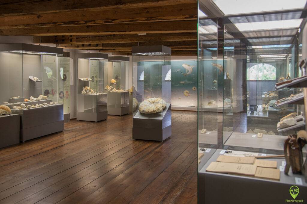 Muzeum Przyrodnicze - Oddziaล Muzeum Nadwiลlaลskiego w Kazimierzu Dolnym