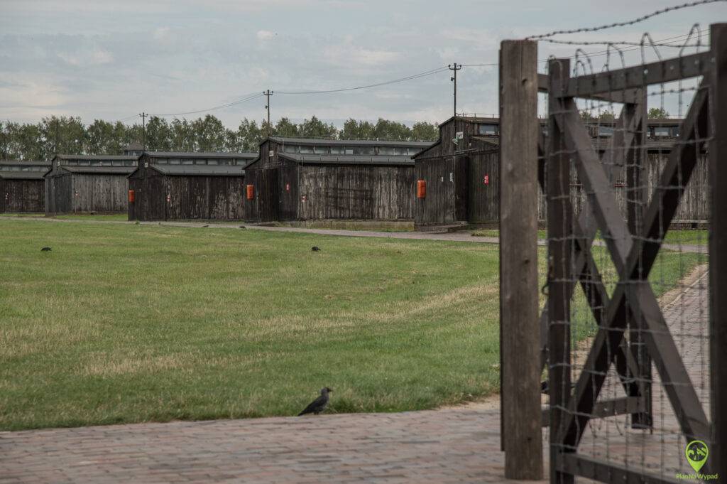 Obรณz na Majdanku