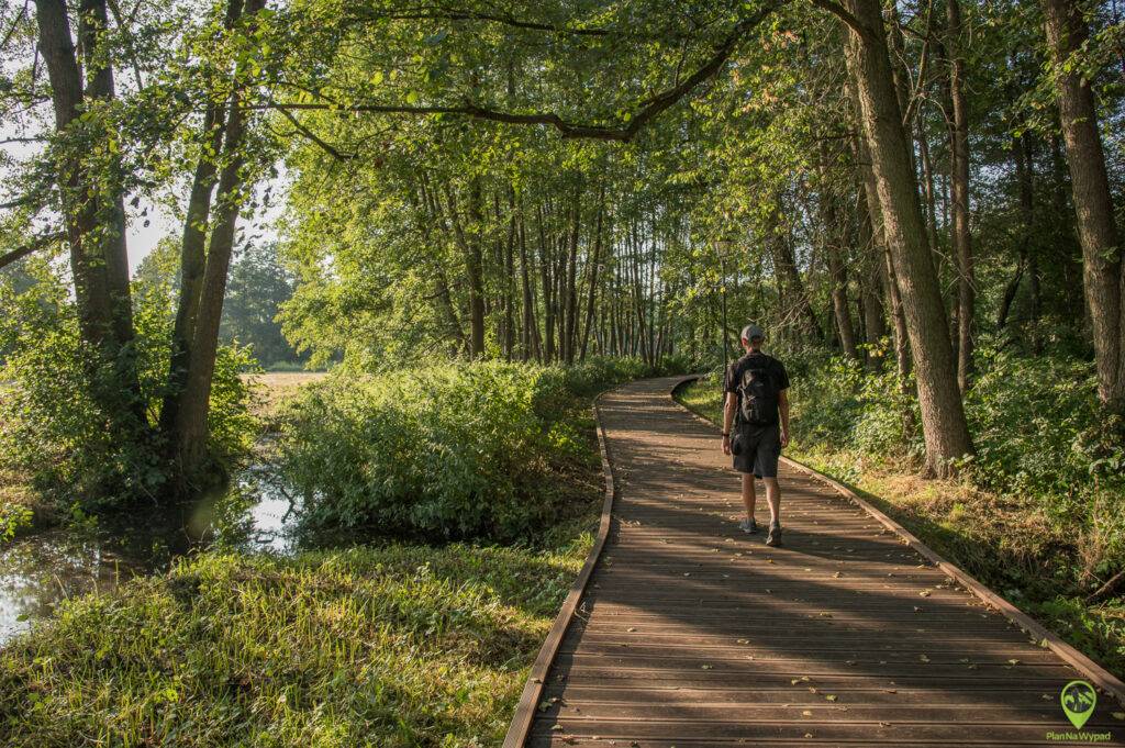 Nałęczów Park Zdrojowy