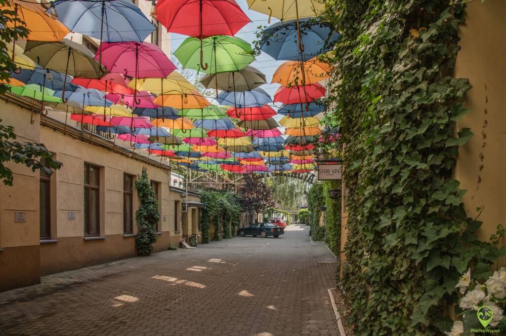 Kolorowe Łódzkie podwórko z zawieszonymi parasolkami.