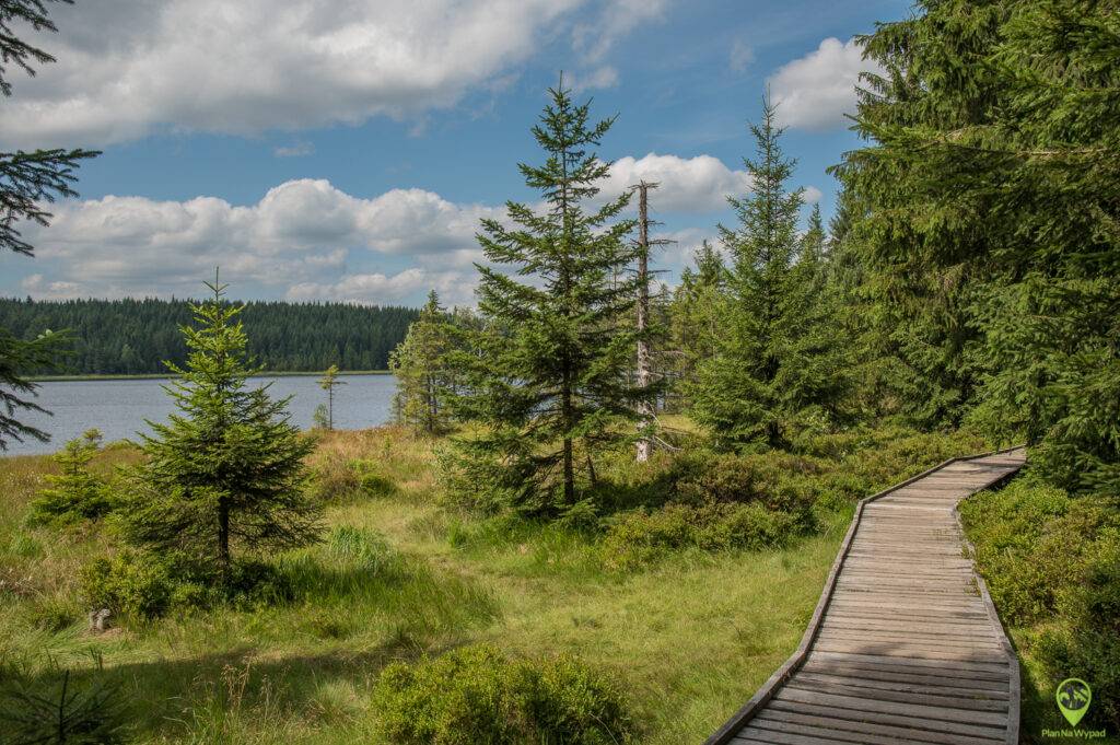 Kładki nad brzegiem jeziora Bedřichov w Izerach.