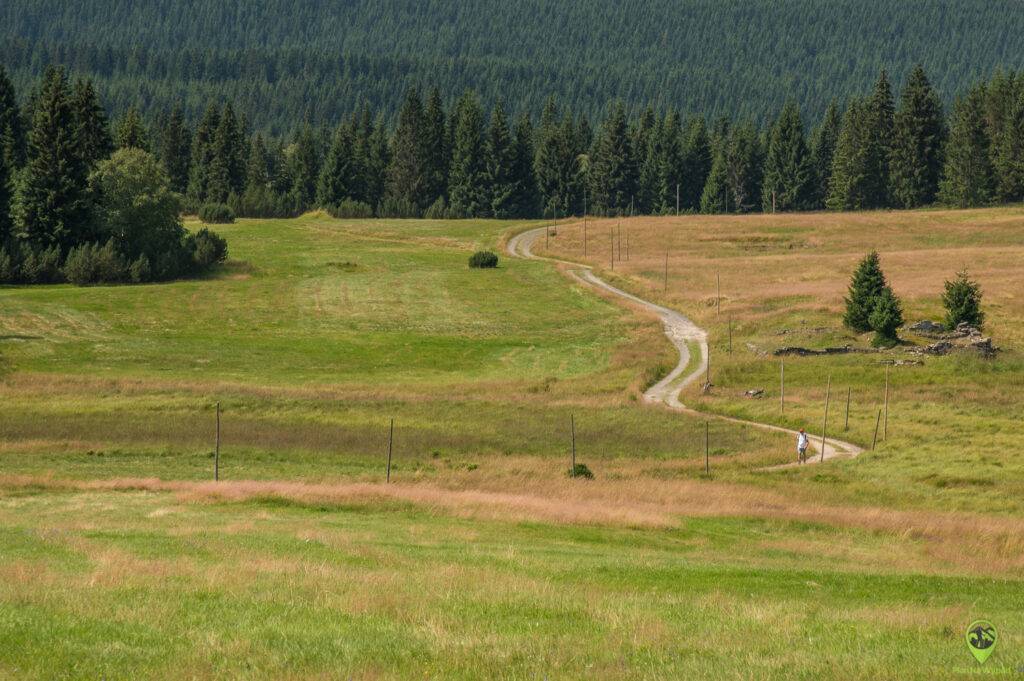 Góry Izerskie - szlak, piechur las, przyrodnicze atrakcje.