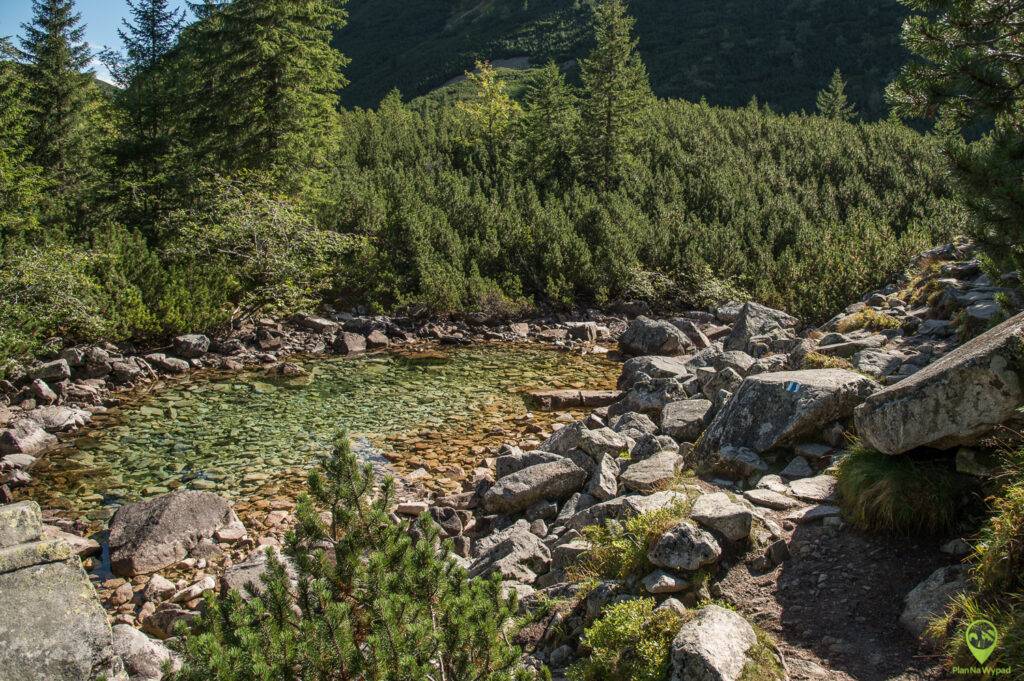 Niewielkie jezioro Zelené pleso usytuowane przy podejściu na Wyżni Rohacki Staw.