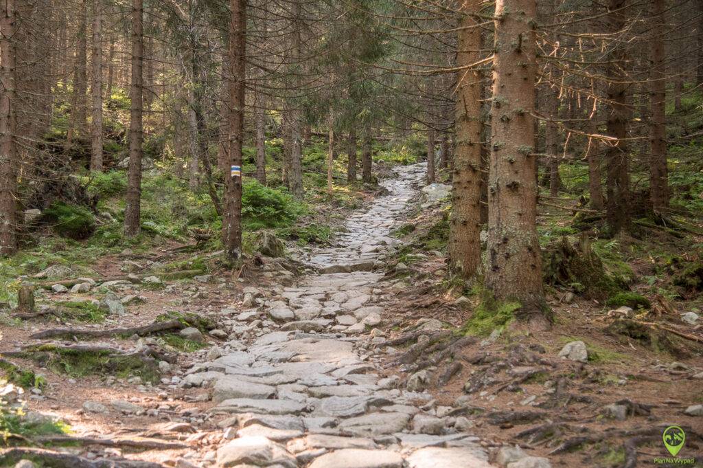 Turystyczny szlak kamienisty odbijający od szosy w stronę Rohackiego Wodospadu. Szlak na Rohackie Stawy.