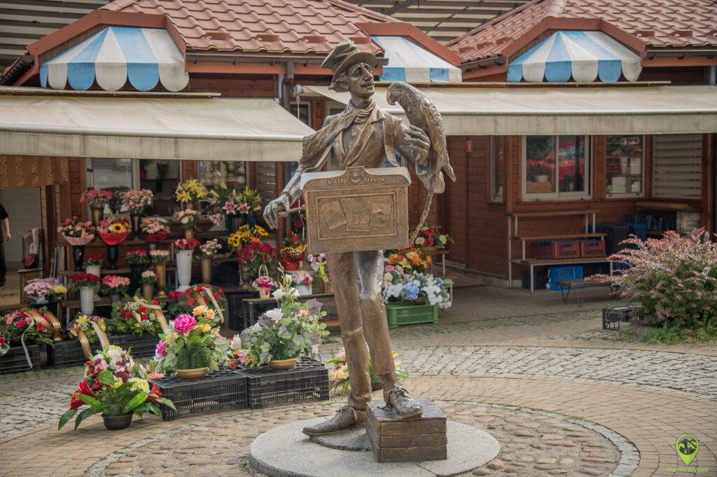 Tarnów atrakcje - kataryniarz na burku.