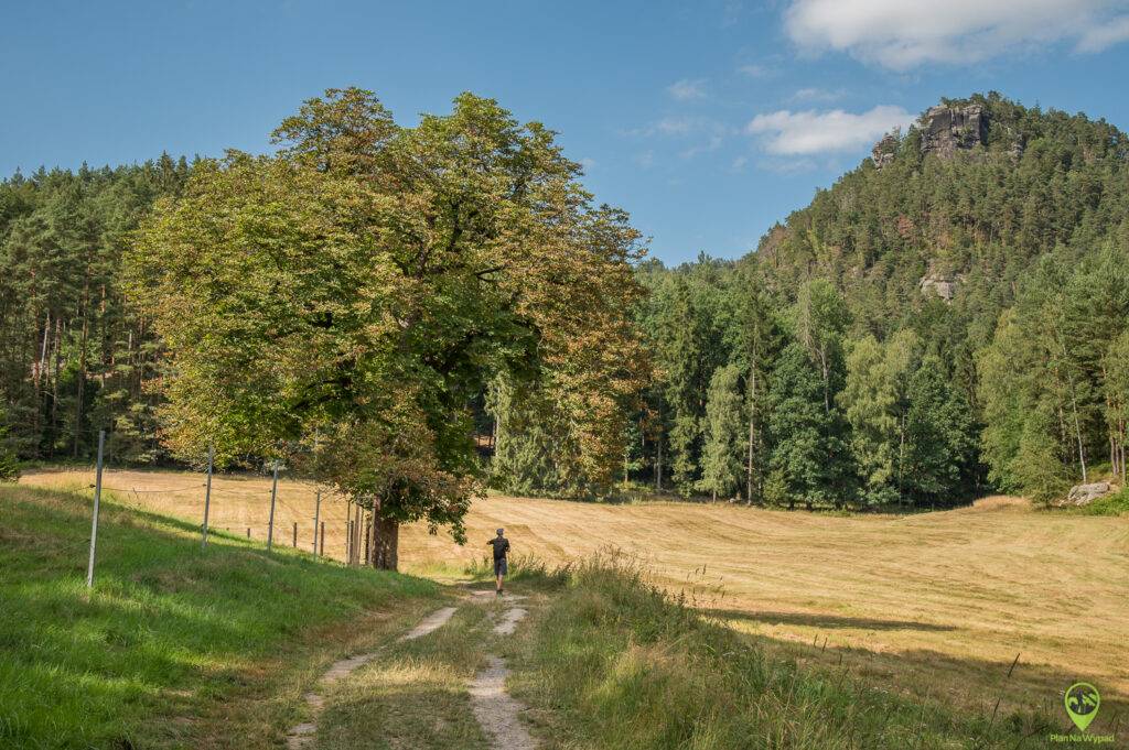Szlak na Vilemínina stěna – punkt widokowy w Czeskiej Szwajcarii.