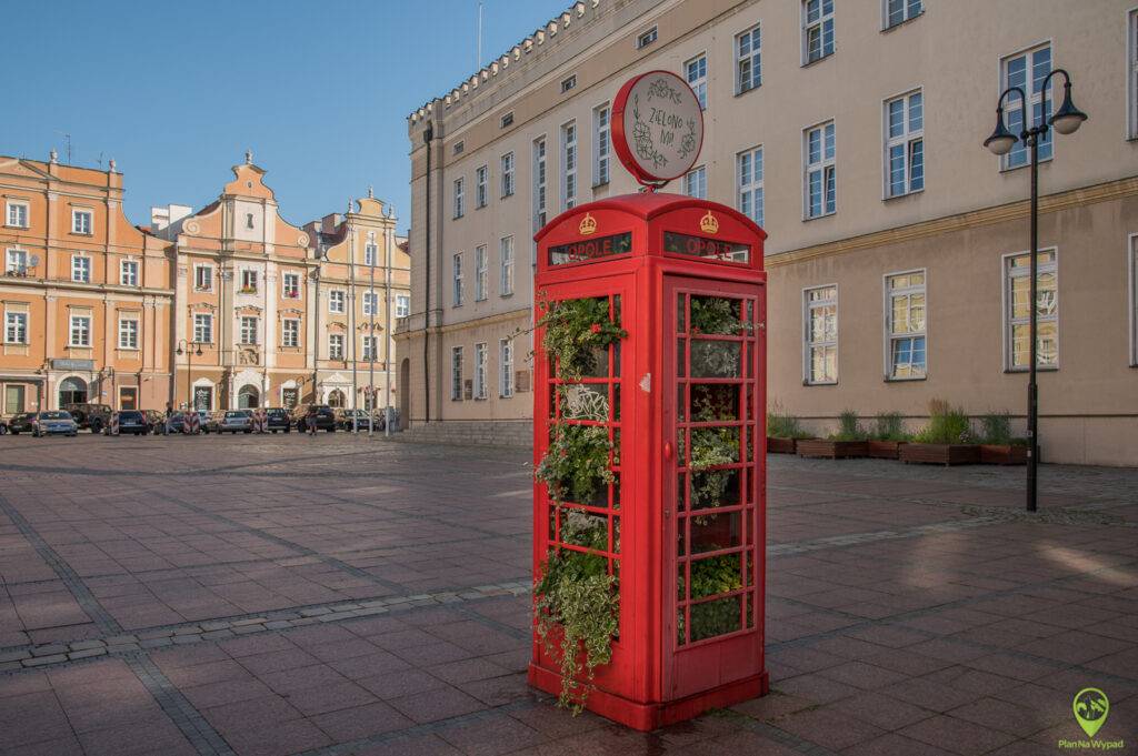 Czerwona budka telefoniczna na rynku w Opolu.