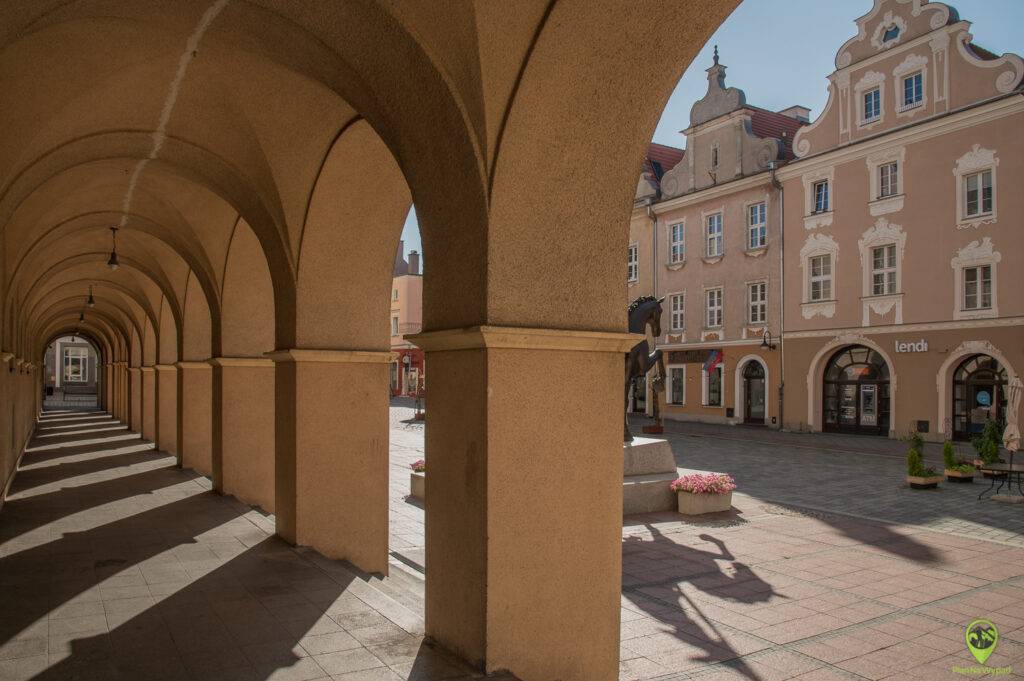 Kolorowe kamieniczki i kawiarniane ogródki na Rynku w Opolu.